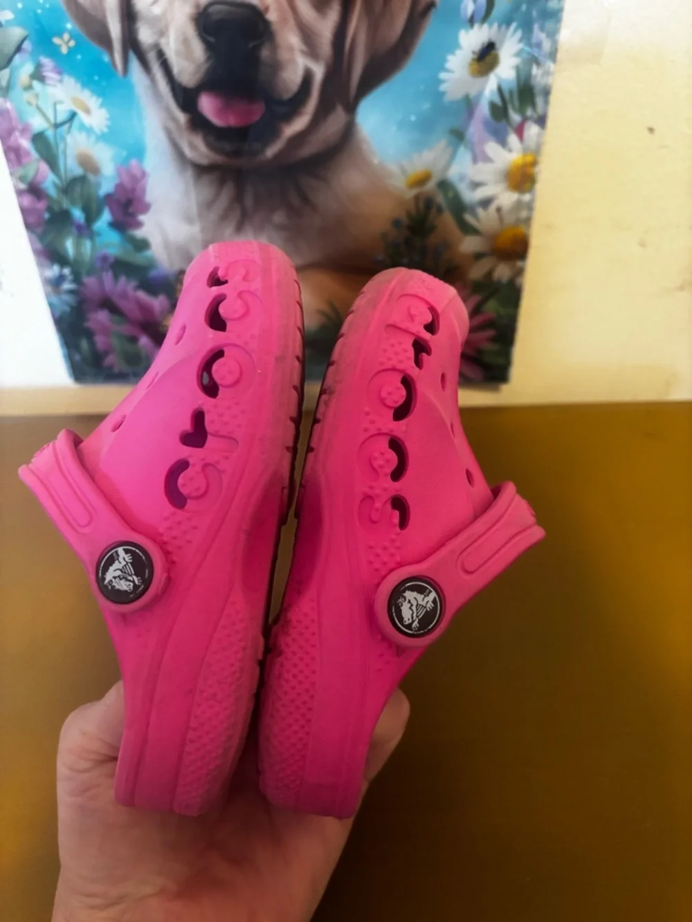 CROCS Kids Hot Pink Vented Clog Sandals